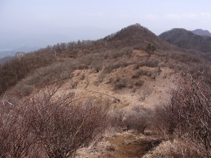 早春の山より・・・（29）