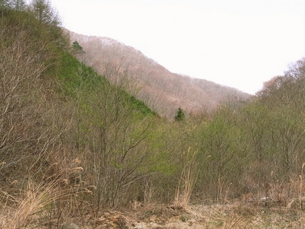 早春の山写真展・・・（五）