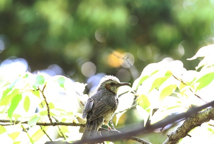 なんだかすごい写真・・・。