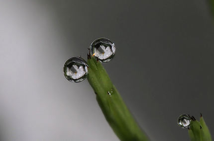 雨が止んだ後には・・・。