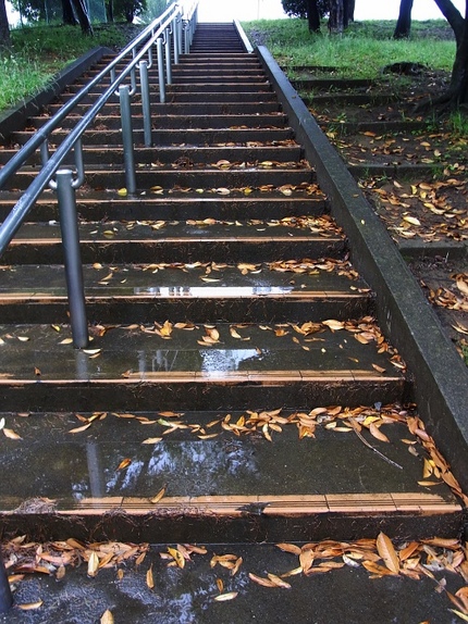 雨の水曜日・・・（9）