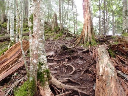 「塩見岳」登山記・・・（三）