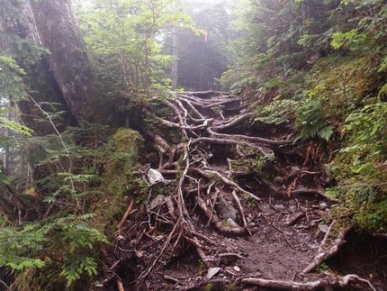 「塩見岳」登山記・・・（四）