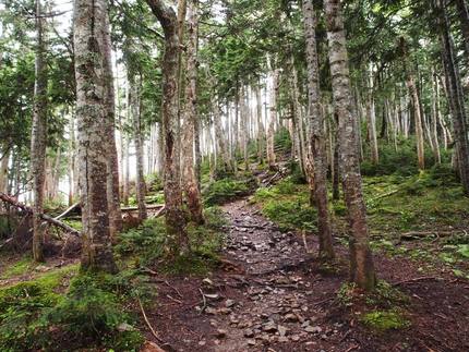「塩見岳」登山記・・・（三十七...