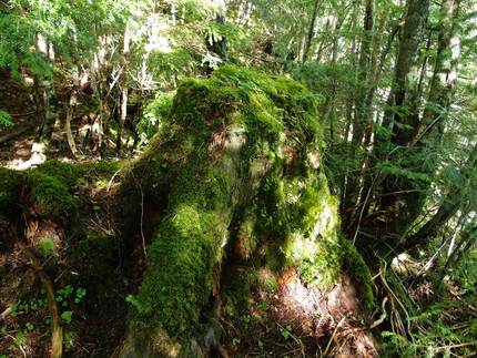 「塩見岳」登山記・・・（五十四...