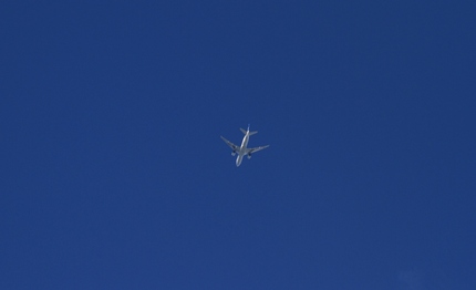 飛行機・・・。