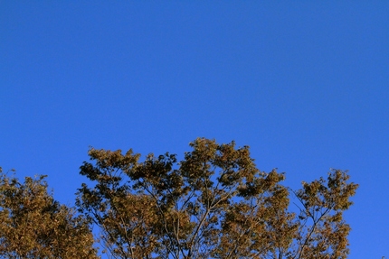 青空・・・！！
