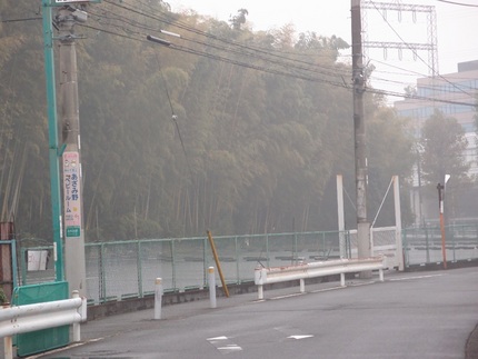 今日の朝は・・・。