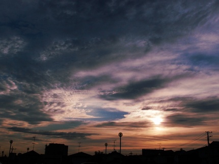 今日の朝は・・・。