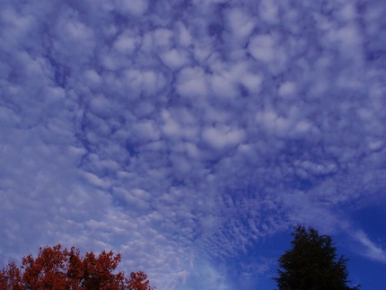 うろこ雲・・・。
