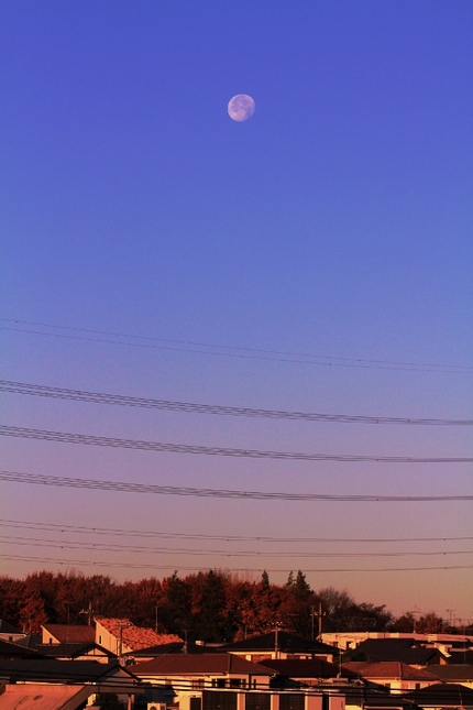 朝の月。