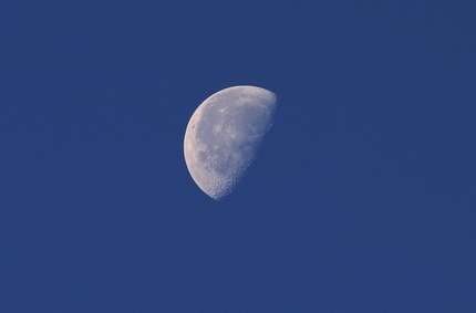 今日の朝の月は・・・。