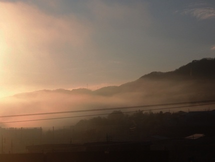 高柄山登山記（霧が・・・）