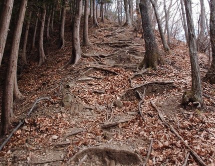 高柄山登山記（頂上近し・・・）