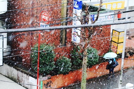 初雪・・・。