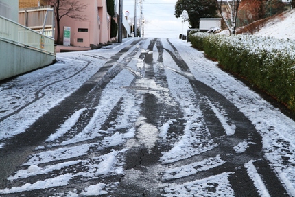 雪の降った朝は・・・（４）