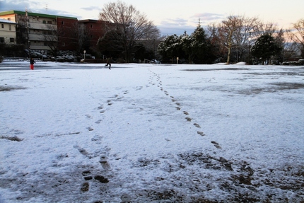 雪の降った朝は・・・（５）