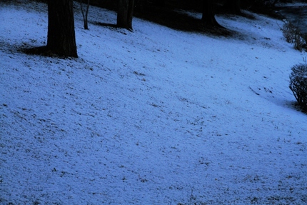 雪の降った朝は・・・（８）