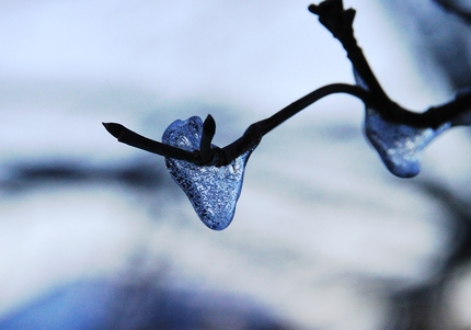 雪のしずく・・・（１）