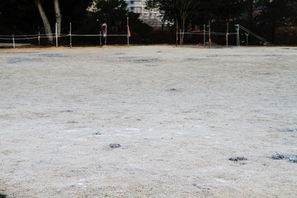 真っ白に霜が降りて・・・。