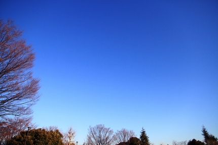 今日の朝は・・・。
