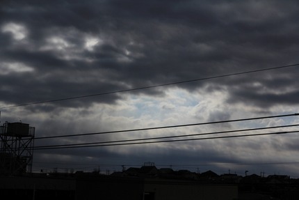 今日の朝は・・・。