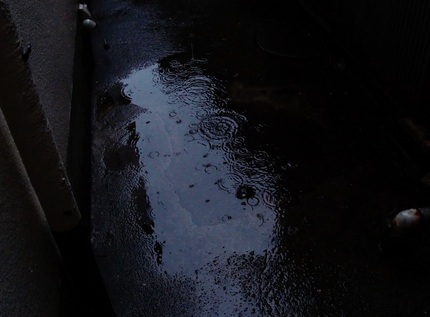 雨・・・(Ⅲ)