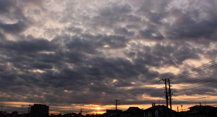 今日の朝は・・・。