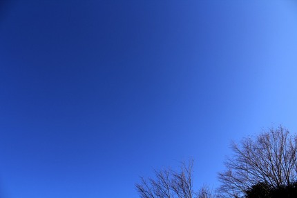 厳冬・・・（５）
