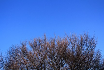 早朝の空・・・。