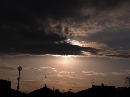 今日の朝は・・・。