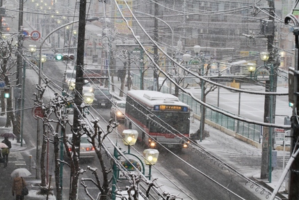 大雪です・・・。