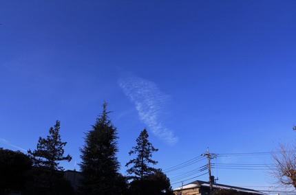 いい天気になりました。