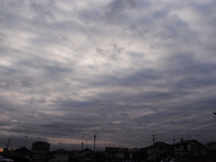 今日の朝は・・・。
