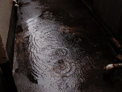 雨・・・結構本降り。