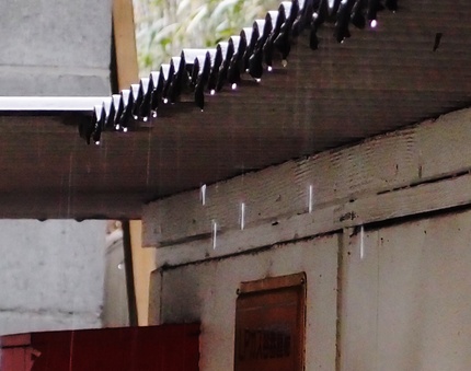 雨・・・(Ⅱ)