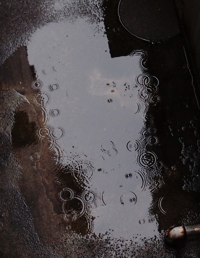 雨・・・。
