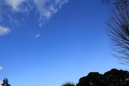 今日の朝・・・。