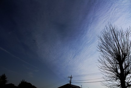 今日の朝は・・・。