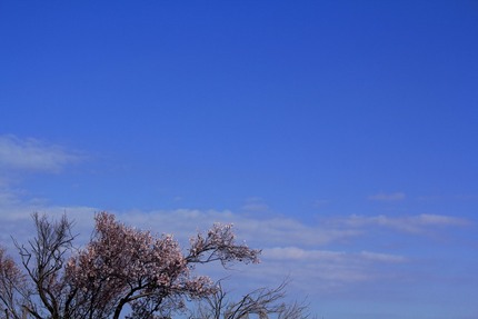 今日の朝の空は・・・。