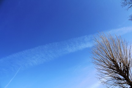 今日の朝の空は・・・。