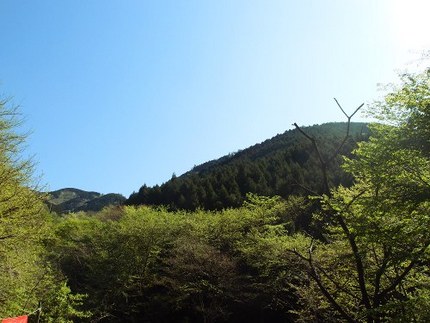 「鍋割山」登山記・・・（７）
