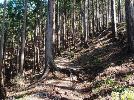 「鍋割山」登山記・・・（９）