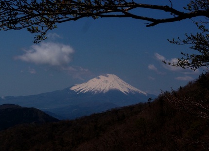 「鍋割山」登山記・・・（１３）