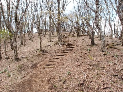 「鍋割山」登山記・・・（１７）