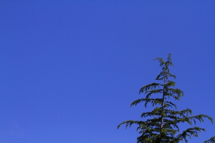 今日の朝の空。