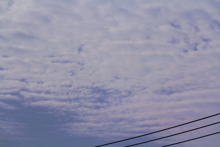 今日の朝の空。