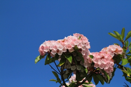 今日の朝の空は・・・。