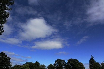 今日の朝の空・・・。