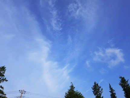 今日の朝の空。